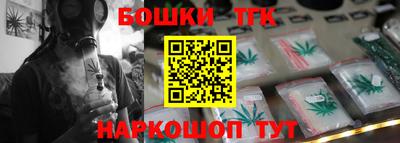 крисы Шебекино