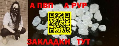 крисы Шебекино