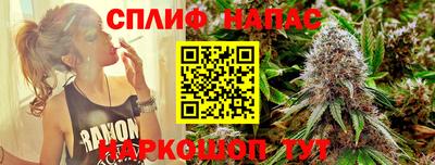 скорость Шелехов