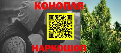 скорость Шелехов