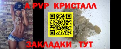 крисы Шебекино