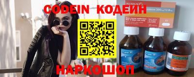 крисы Шебекино