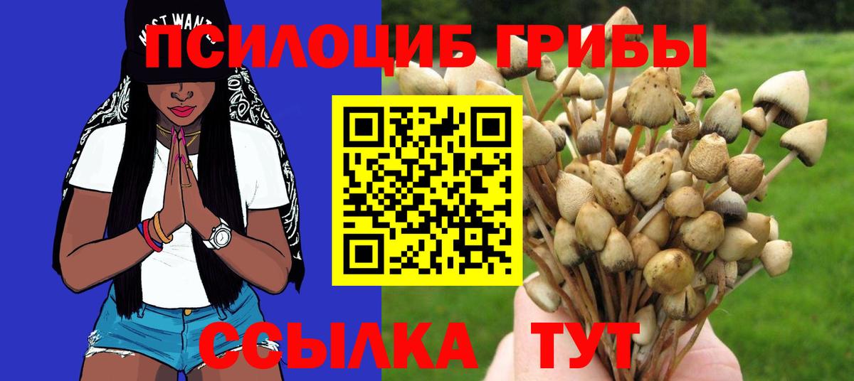 магазин продажи наркотиков  Псилоцибиновые грибы прущие грибы  Димитровград  Вход с VPN  Галлюциногенные грибы мицелий 